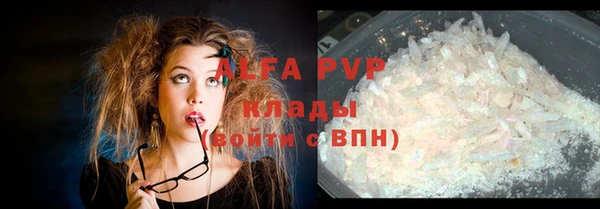 эйфоретик Алзамай