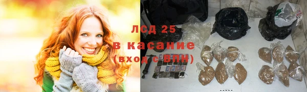 ГАЛЛЮЦИНОГЕННЫЕ ГРИБЫ Абаза