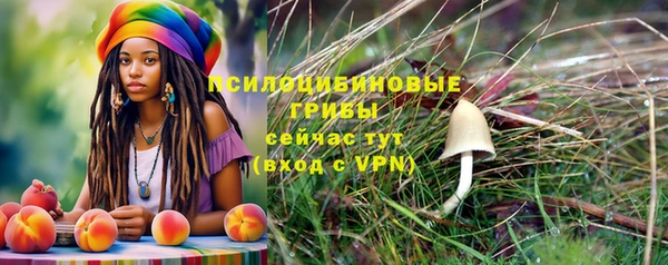 тгк Абдулино