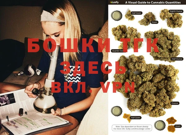 ГАЛЛЮЦИНОГЕННЫЕ ГРИБЫ Абаза