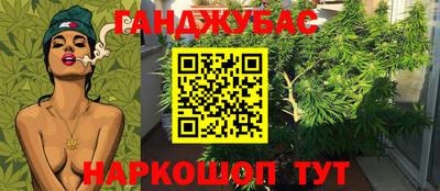 спайс Гусь-Хрустальный