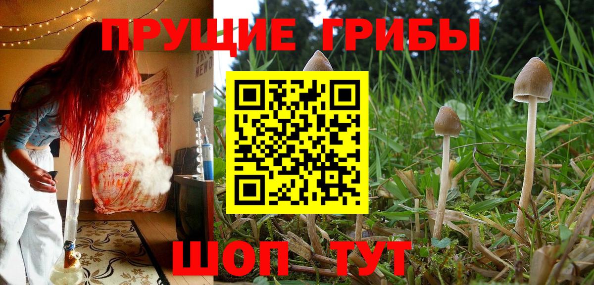 ТГК  Гашиш  КОКАИН  Меф МЯУ МЯУ кристаллы  Вход с VPN  Конопля  Лангепас  А ПВП СК кристаллы 