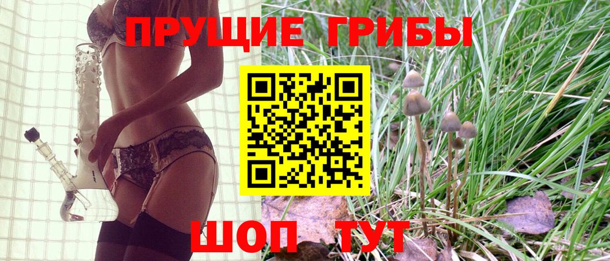 Псилоцибиновые грибы Psilocybe  Вход с VPN  Лангепас 