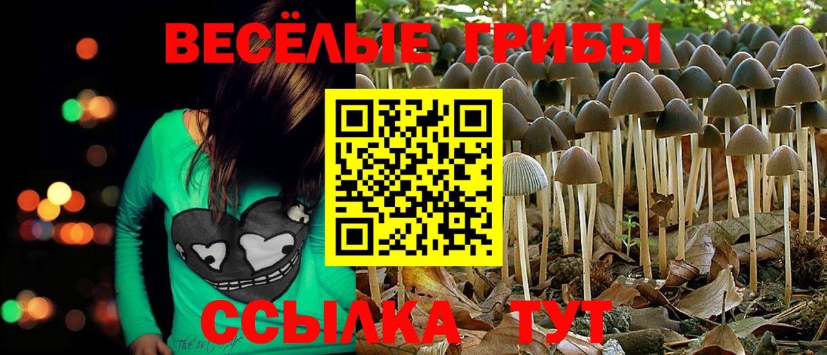 Псилоцибиновые грибы Psilocybe  Лангепас 