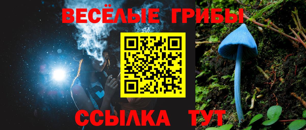 Псилоцибиновые грибы Psilocybe Лангепас